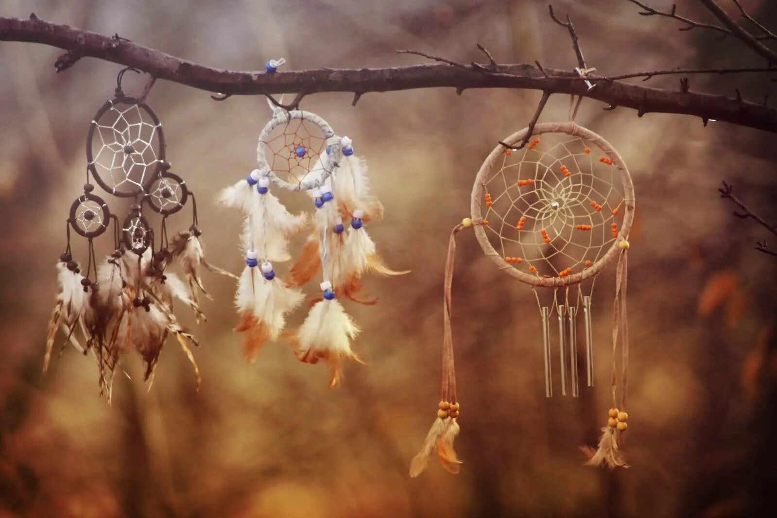 Свои 6 ловец снов. Ловец снов (dreamcatcher), 2003. оджибвейская легенда ловец снов. dreamcatcher ловец снов. индейский ловец снов оригинал.