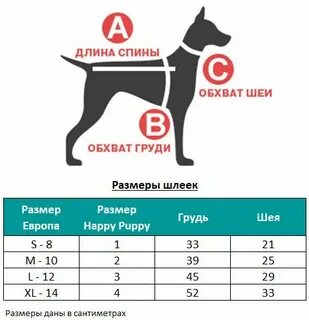 Обхват шеи у овчарки