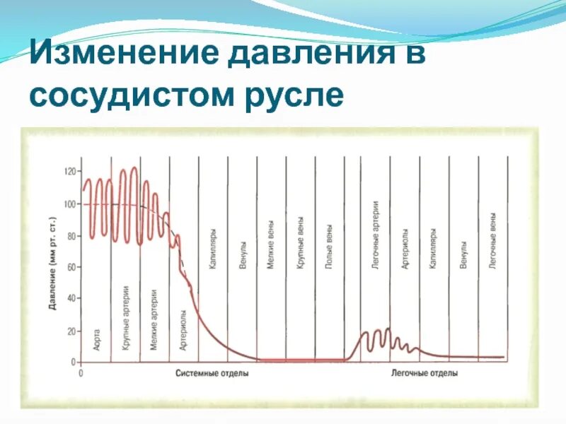 График давления человека в течении суток. Изменение давления в течение суток. Изменение давления в течении дня. Изменение ад в течении суток.