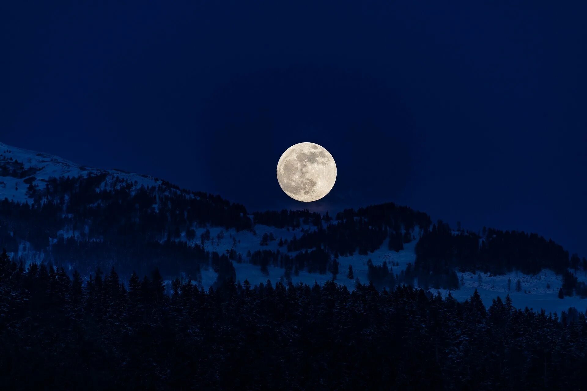 Полнолуние сильный. Ночь Луна. Ночной лес. Полнолуние. Лунное небо.