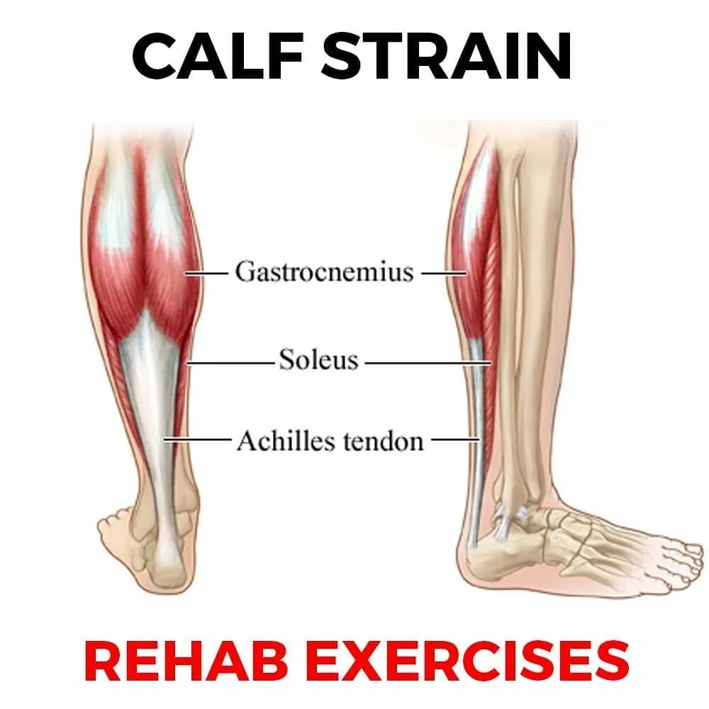 Упражнения при варикозе. Мышечно венозная помпа голени. Упражнения для профилактики варикоза. Наружная головка икроножной мышцы функции. Камбаловидная мышца – musculus soleus.