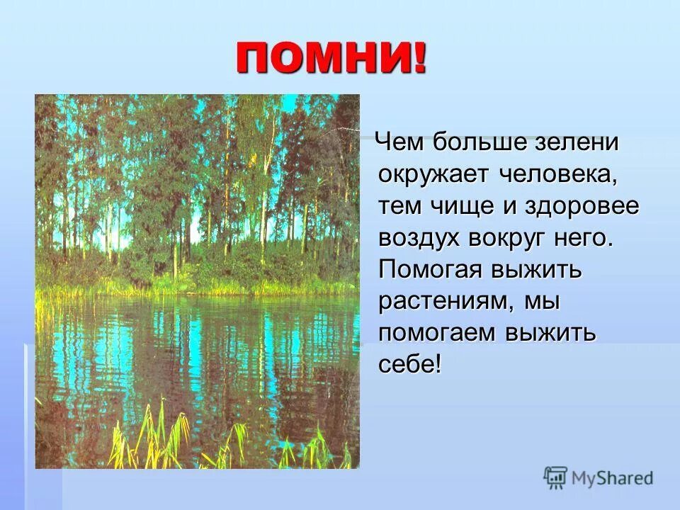 Тема сообщения 3 класс. Презентация на тему экология. экология презентация 3 класс. экология это 3 класс. экологическая тема для презентации.