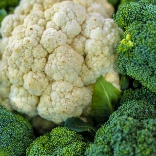 Cruciferous vegetable