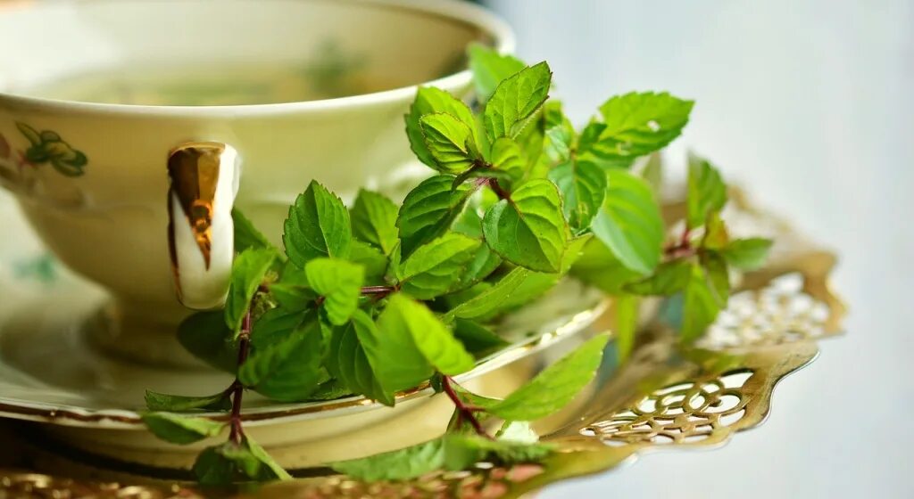 Мятный чай. Herbal перечная мята. Чай с медом. Мятный чай эстетика. Чай с лаймом.