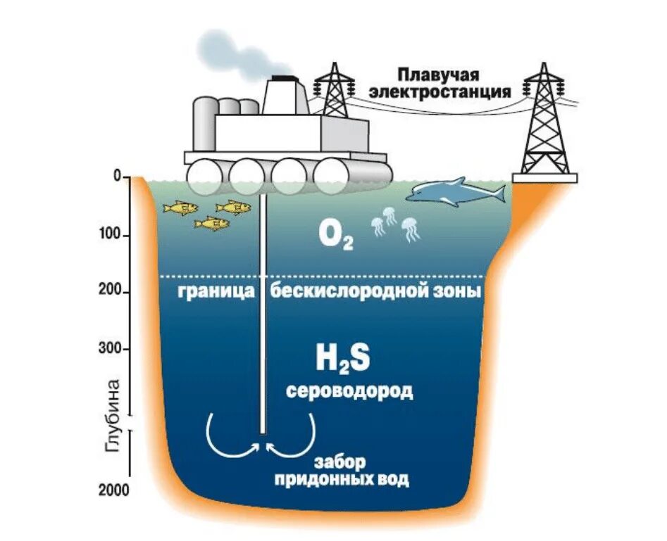 Сероводород откуда. Чёрное море сероводородный слой глубина. Слой сероводорода на дне черного моря. Сероводородная Энергетика черного моря. Сероводород в черном море.