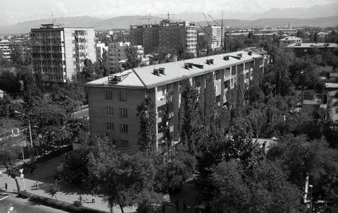Бишкек улица фрунзе