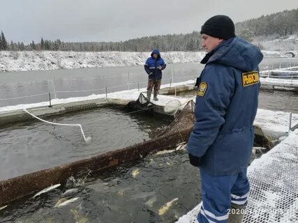 Рыбовод