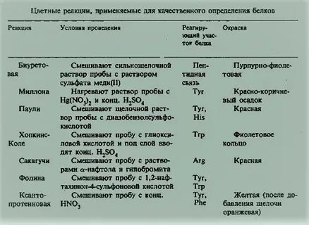Обнаружение белков с помощью качественных реакций 10