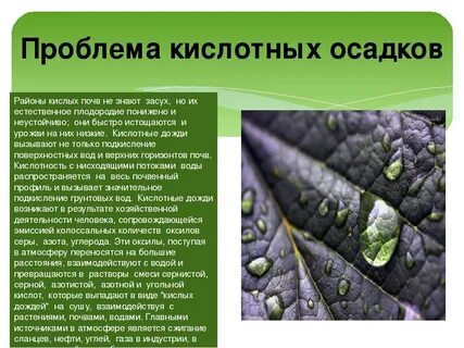 Из за чего возникают кислотные дожди