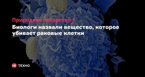 Что не любят раковые клетки