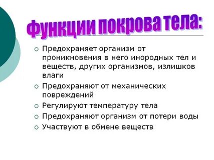 Организмы 7 класс конспект