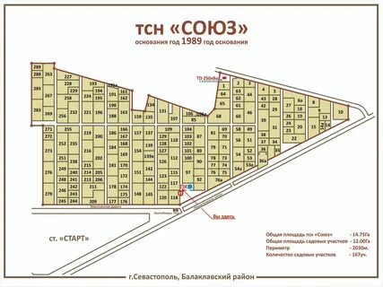 Тсн расшифровка