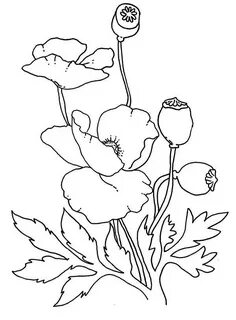 Раскраска poppy