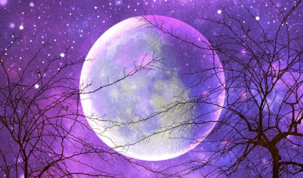 Сиреневая Луна. Фиолетовая Луна. Полнолуние фиолетовый. Красивая фиолетовая Луна. Луна подскажет