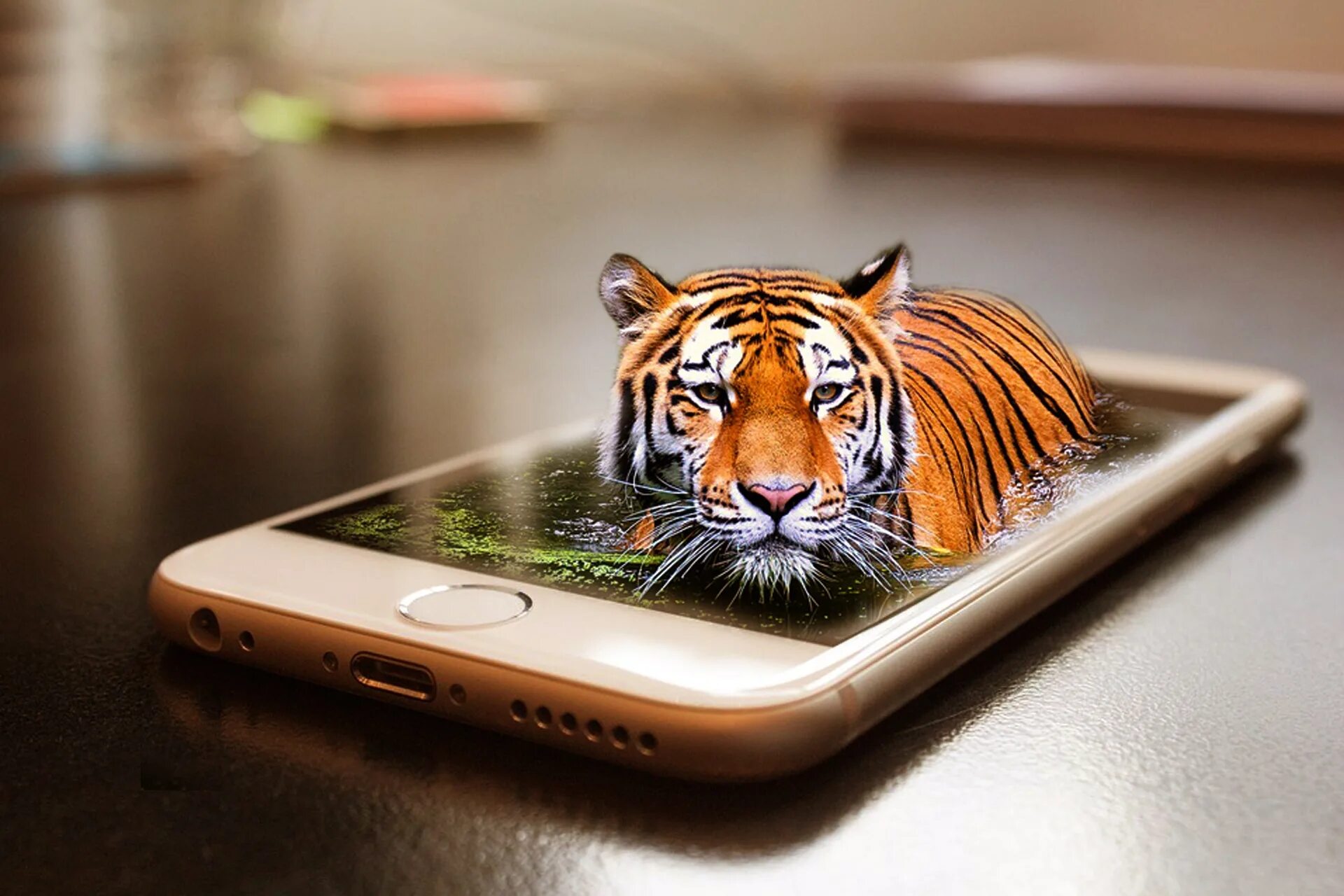 Тигр 3. Креативный тигр. Тигр на телефон. Тигр 3д. Выйти на главный экран телефона