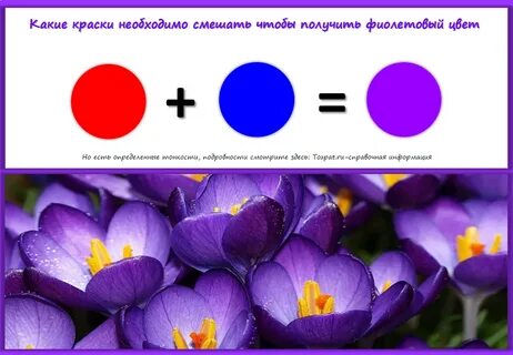 Какие цвета надо чтобы получить фиолетовый