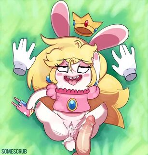 somescrub, princess peach, rabbid, nintendo, super mario bros., 2017, ahe g...