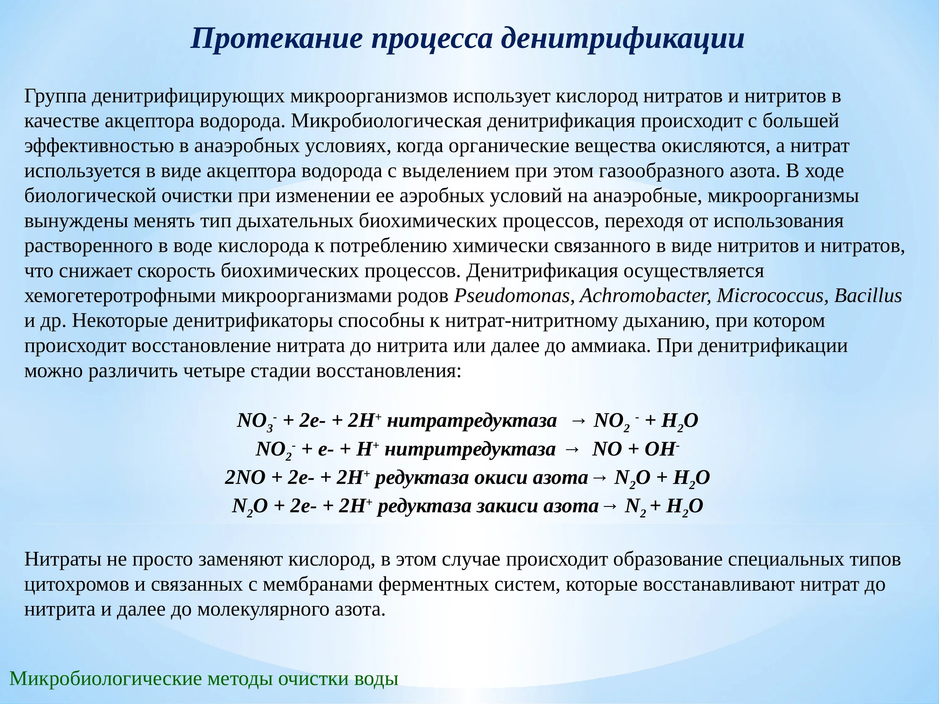 Процесс денитрификации. Денитрификация в анаэробных условиях. Процесс нитрификации и денитрификации. Восстановление нитратов до молекулярного азота. Повышенное содержание нитратов воде