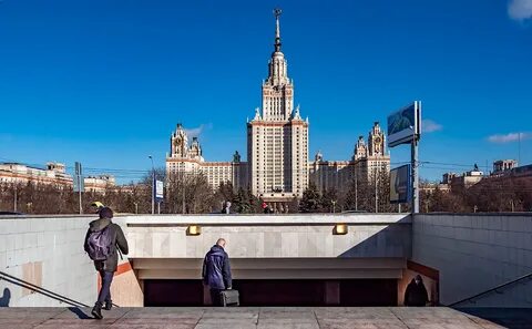 Год обучения в мгу