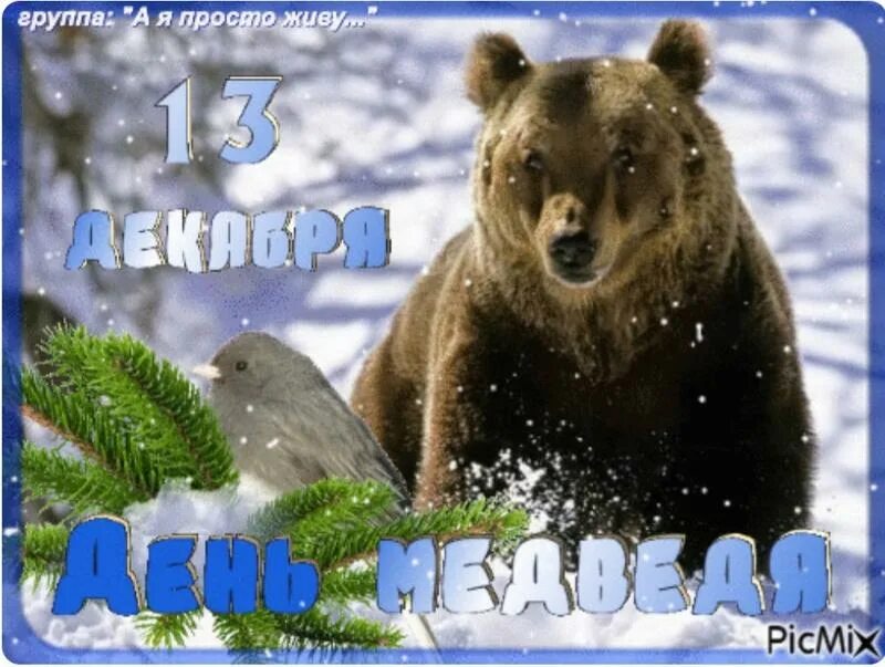 День медведя. 13 Декабря праздник день медведя. День медведя 13. Открытки с днём медведя 13 декабря. День медведя сценарии