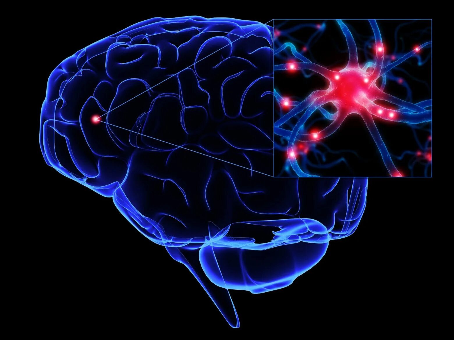 Brain area