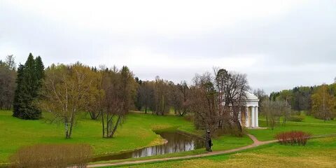 Павловск пушкинская