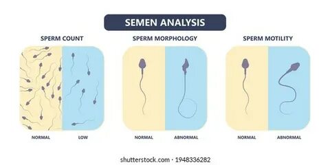 Порно икап онлайн