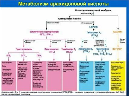 Общий метаболит