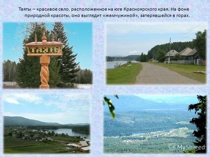 Старцев красноярский край