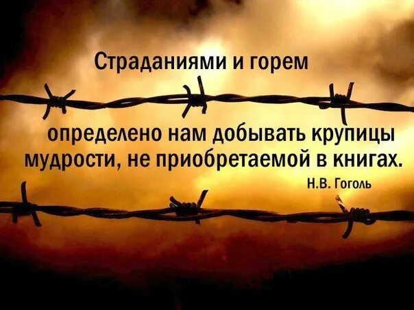 Цитаты про страдания. Афоризмы про страдания. страдания цитаты. статусы про страдания. страдания цитаты и афоризмы.