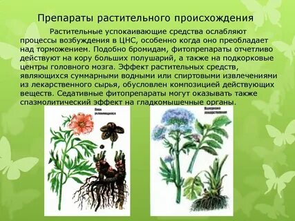 Препараты растительного происхождения список