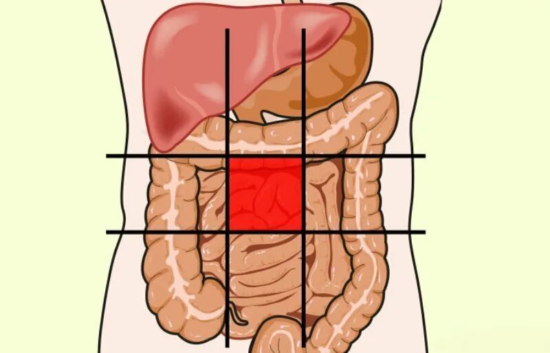 Нижняя часть живота. Карта боли в животе. Карта болезней живота. Фланги живота. Тянет живот кишечник