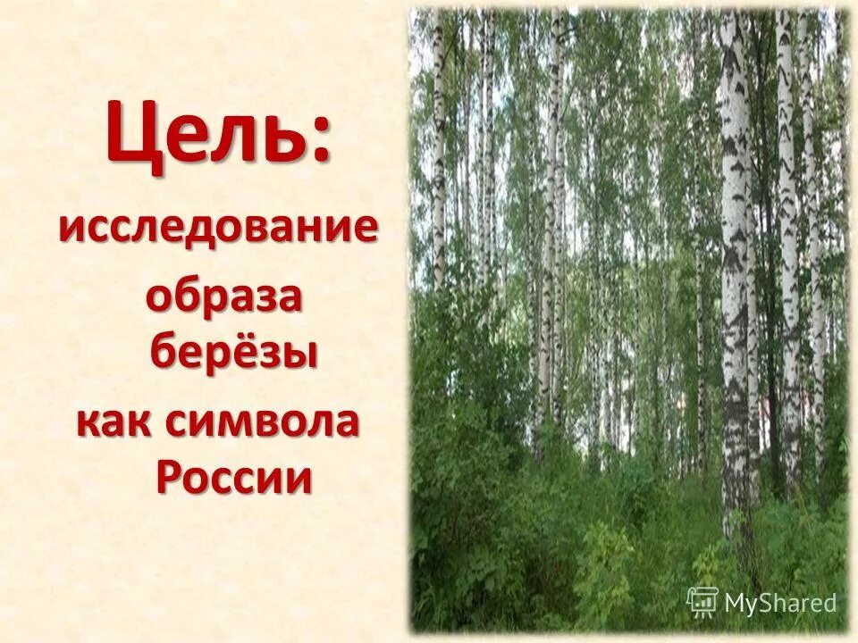 Береза символ России. Презентация на тему береза. Береза символ Родины моей. Береза символ.