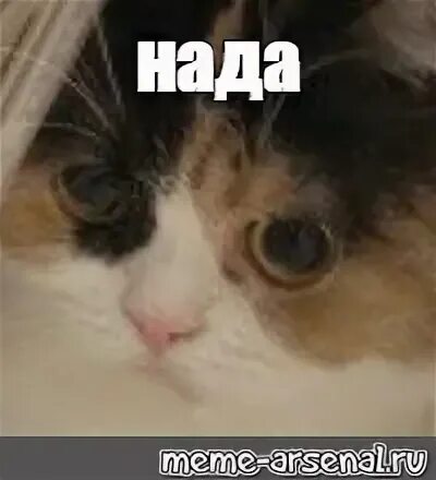 А можно не так