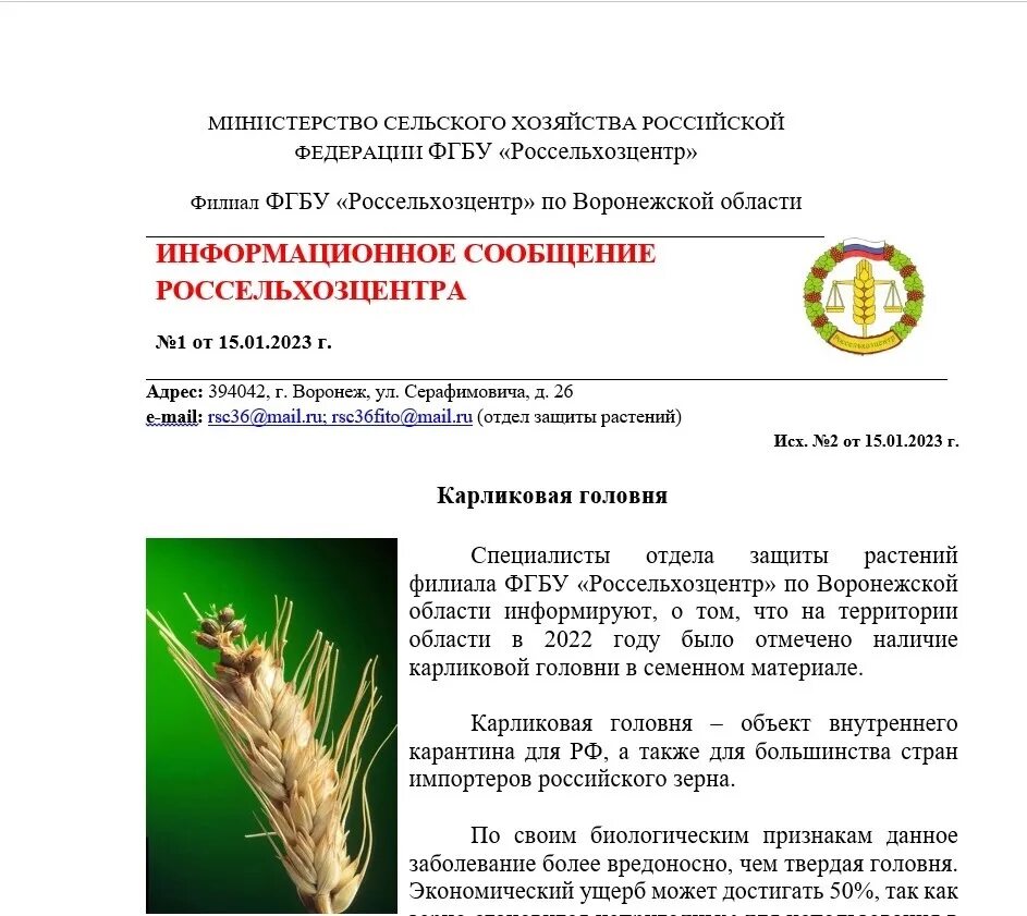 Мониторинг россельхозцентр. Карликовая головня. отдел защиты растений. сертификат россельхозцентр.