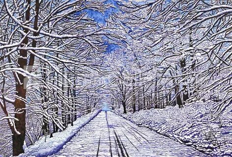 Winter gallery
