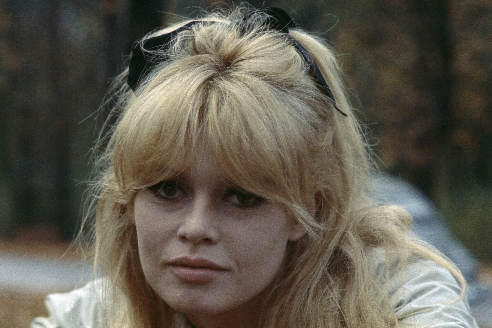 Фотография Brigitte bardot, Brigitte, Bardot