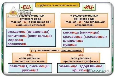 Окончание ец в существительных