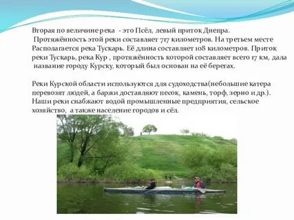 Составляющая реки шилки 4 буквы