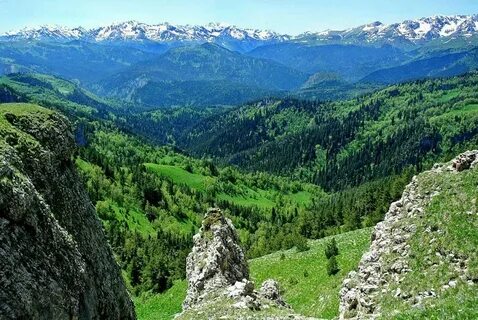 Мостовской краснодарский край приставы