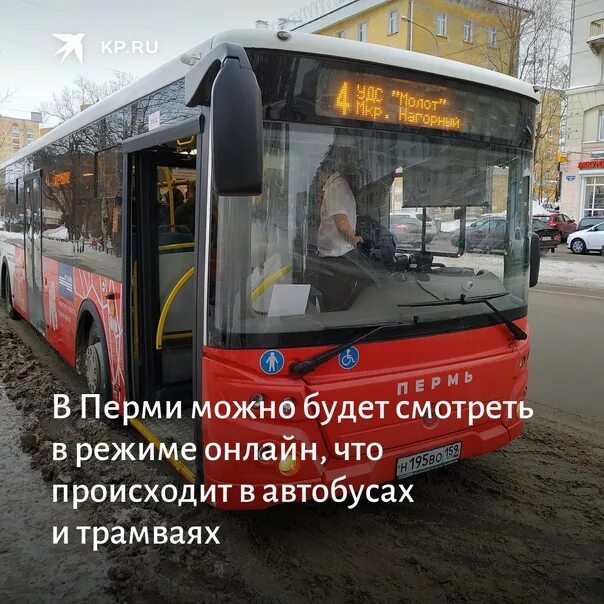 Пермь автобус 431. Салон автобуса Пермь. Пермский автобус 2022. Доброе утро автобус. Медведь на автобусах Перми.