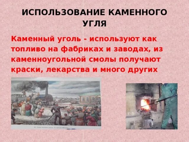 Презентация по биологии "Каменный уголь".