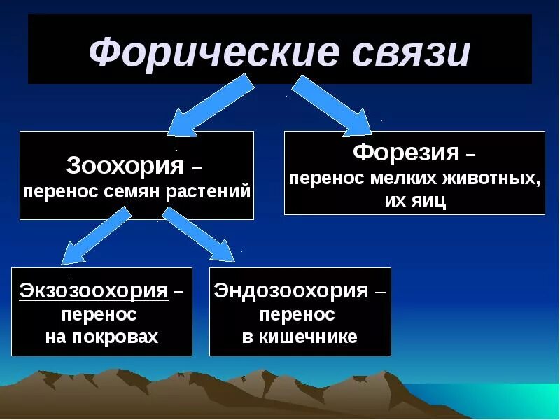 Виды связей в экологии. Форические связи. Форические взаимоотношения. Форические связи примеры. Примеры фарических связь.