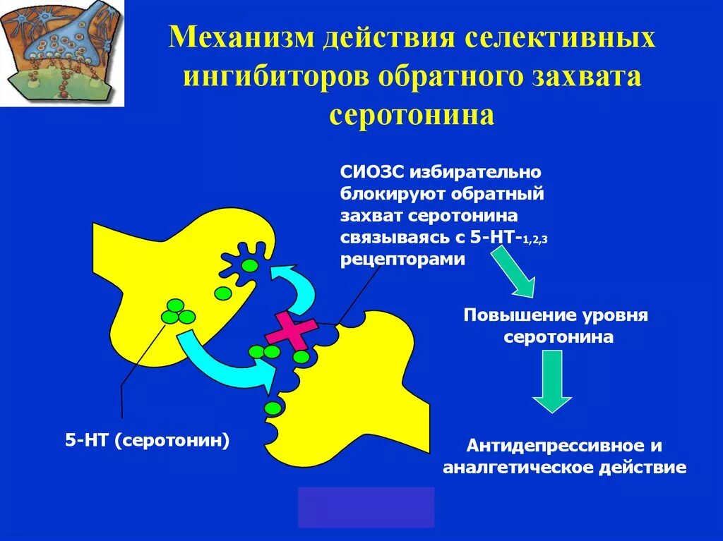 Ингибиторы обратного захвата серотонина механизм действия. Ингибиторы нейронального захвата серотонина механизм действия. Механизм действия антидепрессантов схема. Механизм обратного захвата серотонина. Сиозс препараты для чего