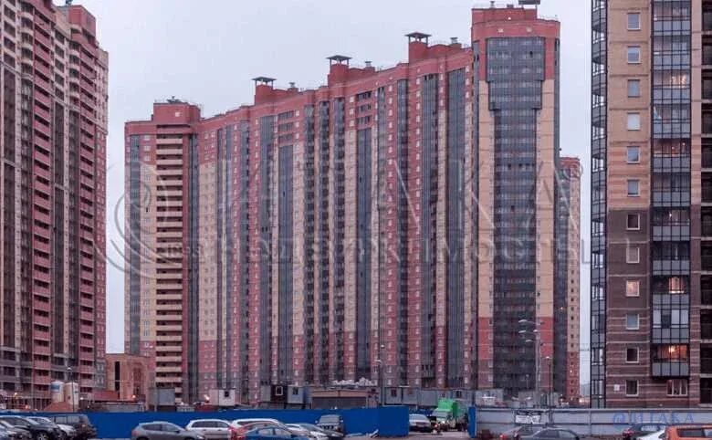 Толубеевский проезд. Парнас толубеевский. парнас толубеевский проезд. парнас-спб проезд толубеевский. парголово,толубеевский проспект.