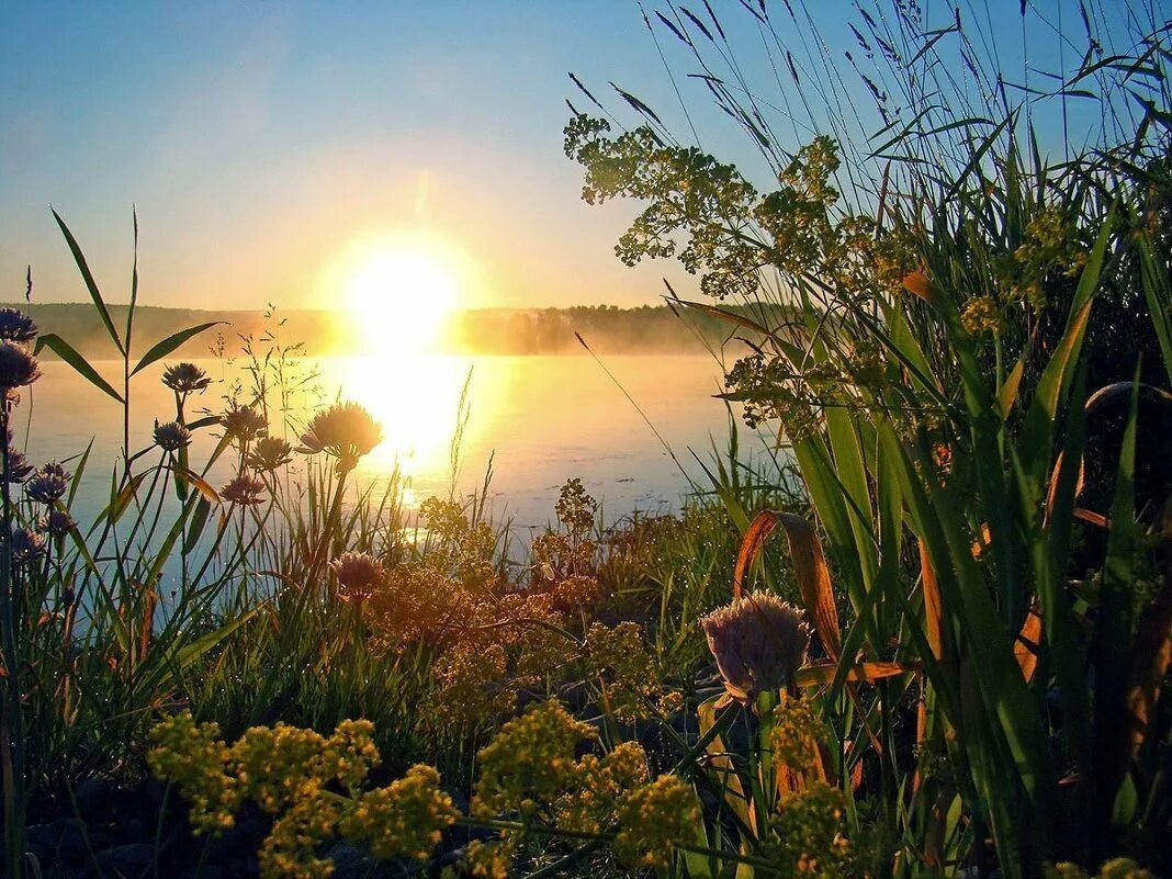 Теплый вечер шатунов закат. Летнее утро. Рассвет летом. Природа рассвет. Рассвет солнца.