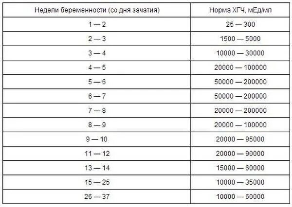 Примерно через две недели. ХГЧ при беременности норма таблица. Норма ХГЧ на 3 неделе беременности. ХГЧ 2 недели беременности норма. Нормы ХГЧ В мед/мл по неделям.