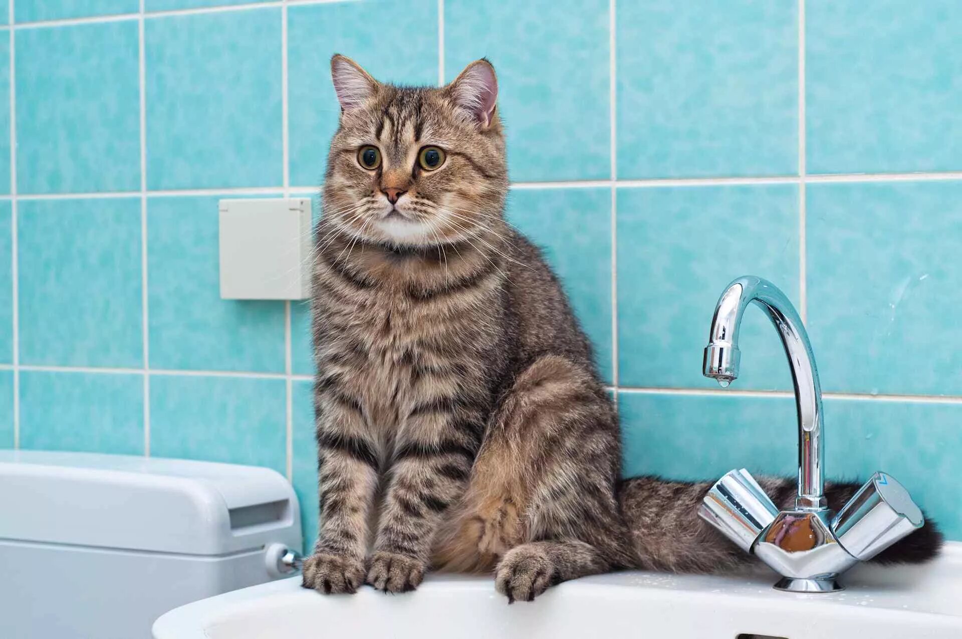 Отключили воду в поселке