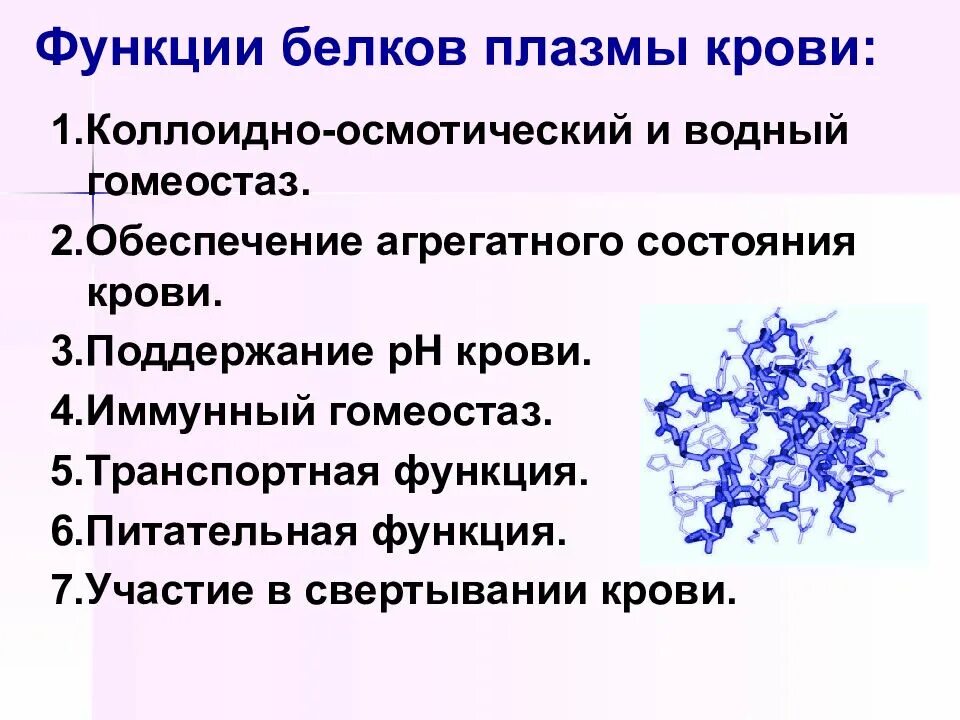 Плазма функции. Функции белков плазмы крови биохимия. функции белков плазмы. белки плазмы крови функции. основные функции белков плазмы.