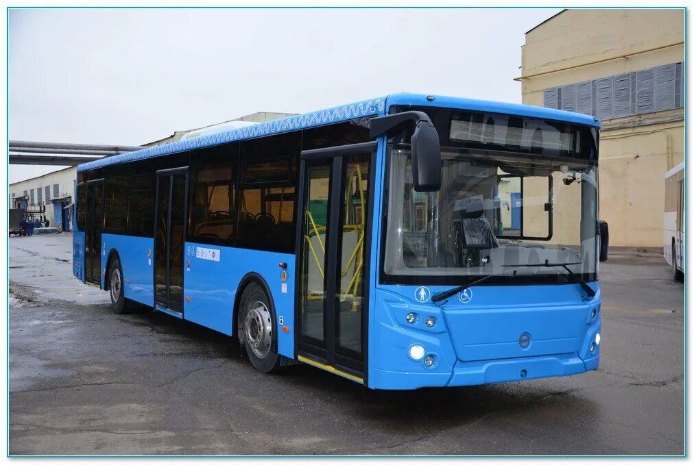 65 новых автобусов. Лиаз 6213. Лиаз 6213. Лиаз 6213. Лиаз 5292 новый.